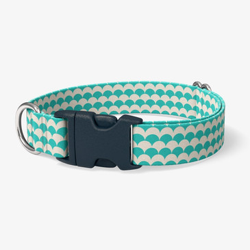 image of front of collar. image of front of collar.